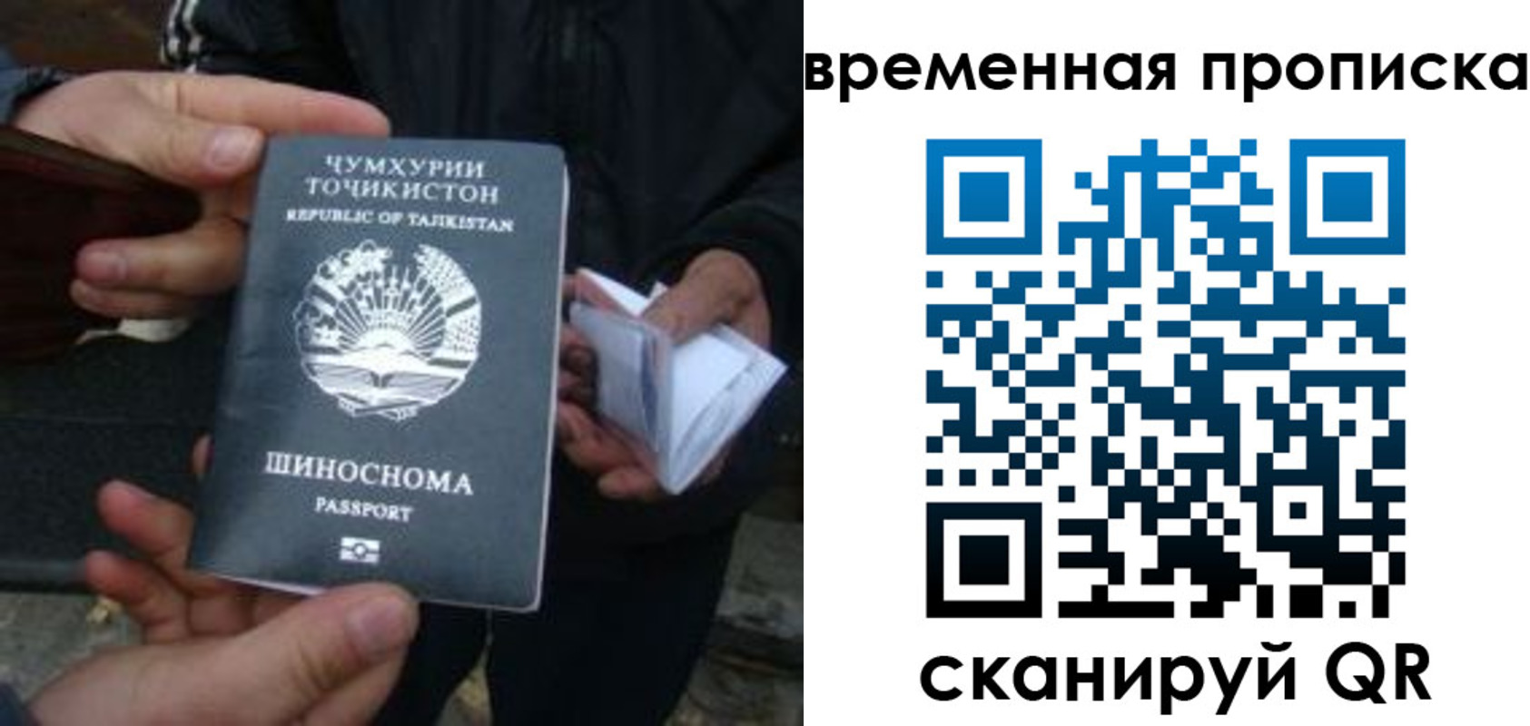 прописка законно в Мурманске